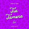 Download track Tia Tamera