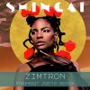 Download track Zimtron (Foremost Poets Adventure)