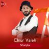 Download track Elif Qızım