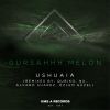 Download track Ushuaia (Özlem Güzel Ottheosufi Edit)