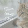 Download track Nature Sounds Gentle Rain