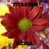 Download track Titanium (Titanium Full Bass)