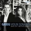 Download track Sonata For Violin And Piano No. 3 In C Minor, Op. 45 II. Allegretto Espressivo Alla Romanza