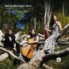 Download track Piano Trio In E-Flat Major, Op. 70 No. 2 I. Poco Sostenuto - Allegro Ma Non Troppo