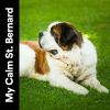 Download track A Soothing Music For My Furbabies