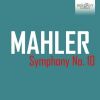 Download track Symphony No. 10: I. Adagio (9)