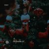 Download track Our Christmas