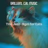 Download track Opulent Moods For Cats