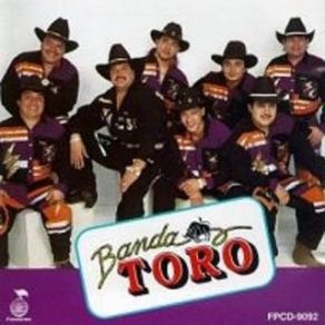 Download track Las Mulas De Jaramillo Banda Toro