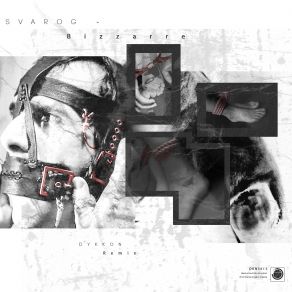 Download track Bizarre Svarog