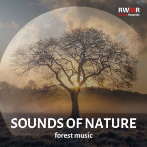 Download track Chillout RW Restful Music