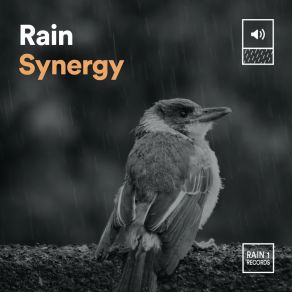 Download track Rain Synergy, Pt. 18 Stormy Station