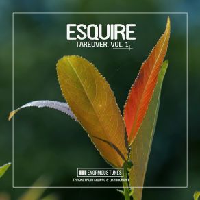 Download track Discovery Channel (Esquire Remix) Lika Morgan