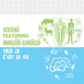 Download track There's A Place 4 U In Me Ozone, Miklos Lukacs