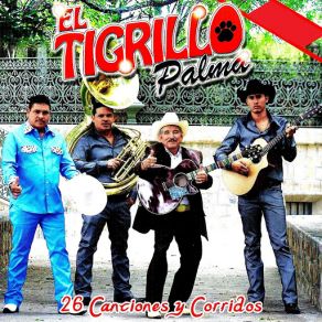 Download track Cobrando Plaza El Tigrillo Palma