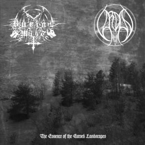 Download track The Essence Of The Past Vardan, Burial Mist