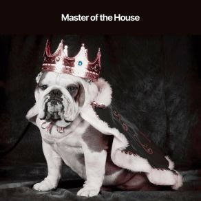 Download track Master Of Exploration Dog Sleep Academy