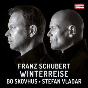 Download track Winterreise, Op. 89, D. 911: No. 8, Rückblick Bo Skovhus, Stefan Vladar