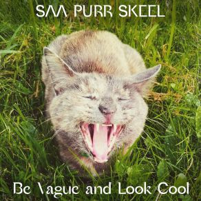 Download track Be Vague And Look Cool (Acoustic) Saa Purr Skeel