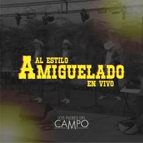 Download track Los Años Que Yo Tengo (En Vivo) Los Plebes