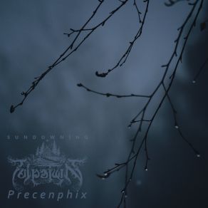 Download track Golden Morning Precenphix, Tulpa Twin