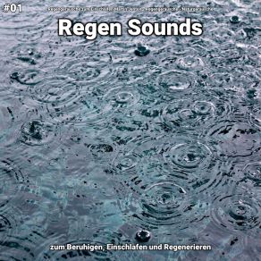 Download track Regen Sounds, Pt. 48 Naturgeräusche