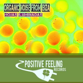 Download track Hojas Iluminadas (Club Mix) Organic Noise From Ibiza