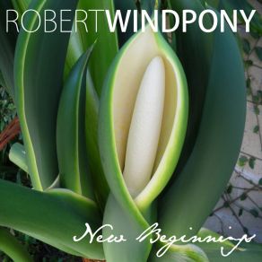 Download track South Rim F # Robert Windpony