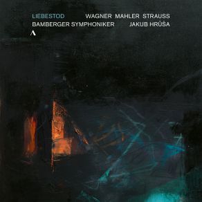 Download track Tod Und Verklärung Bamberger Symphoniker, Jakub Hrusa