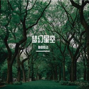 Download track 红高粱 (伴奏版) 随曲毅动