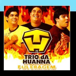 Download track Tigrão Gostoso Trio Da Huanna