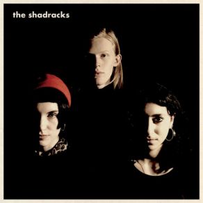 Download track The Wrong Things The Shadracks