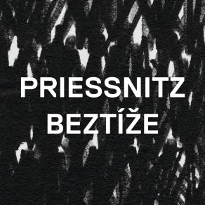 Download track Na Kraji'mesta Priessnitz