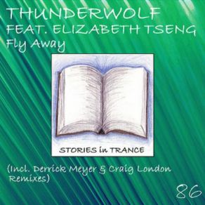 Download track Fly Away (Derrick Meyer Remix) Thunderwolf, Elizabeth TsengDerrick Meyer