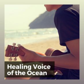 Download track Calming Ocean Sounds, Pt. 20 Sea Of Waves