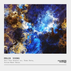 Download track Soundrise (Platinum Monkey Remix) Felix YoungPlatinum Monkey