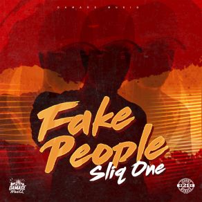 Download track Fake People Sliq One