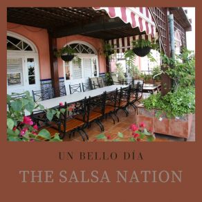 Download track Te Necesito Más Y Mas The Salsa Nation