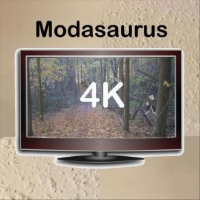 Download track Hey Bud! Modasaurus