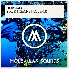 Download track You & I (Secret Lovers) (Original Mix) BluSkay