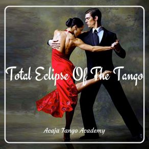 Download track Un Baile Muy Sensual Acaja Tango Academy