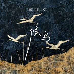 Download track 候鸟 (伴奏) 赖湘文