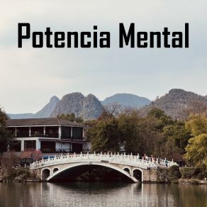 Download track Puente De Sabiduría Universal Zen