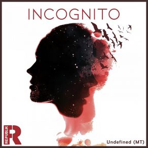 Download track Incognito (Steve Parry's Refined Mix) Undefined (MT)