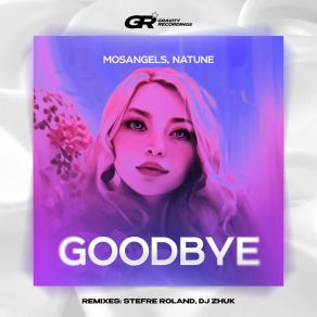 Download track Goodbye (DJ Zhuk Remix) Natune