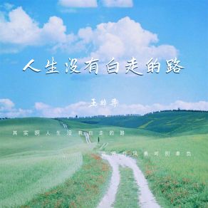 Download track 人生没有白走的路 (伴奏) 王梓寻