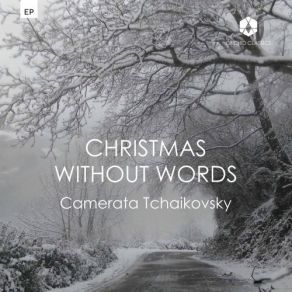 Download track Martin: Have Yourself A Merry Little Christmas (Arr. Y. Zhislin For String Orchestra) Camerata Tchaikovsky