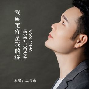 Download track 我确定你是我的缘 (DJ默涵版伴奏) 王翼焱