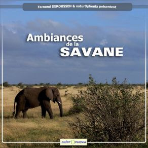 Download track Lever Du Jour Sur La Savane Fernand Deroussen