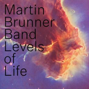 Download track Suddenly In The Depths Of The Forest Martin Brunner Band